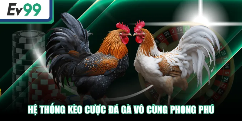 Hệ thống kèo cược đá gà vô cùng phong phú